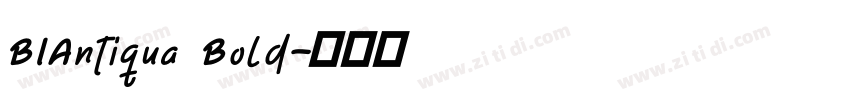 BIAntiqua Bold字体转换